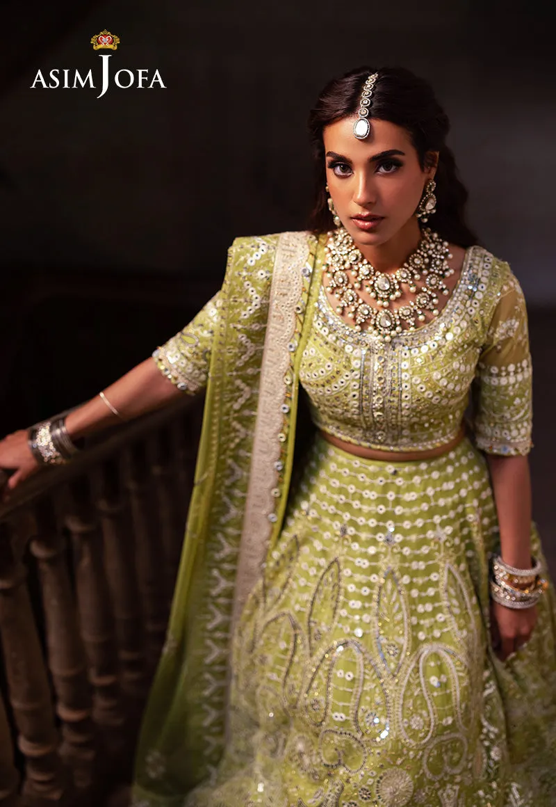 ASIM JOFA | Asim Jofa Bekhudi Collection '24 ( AJKB-04)