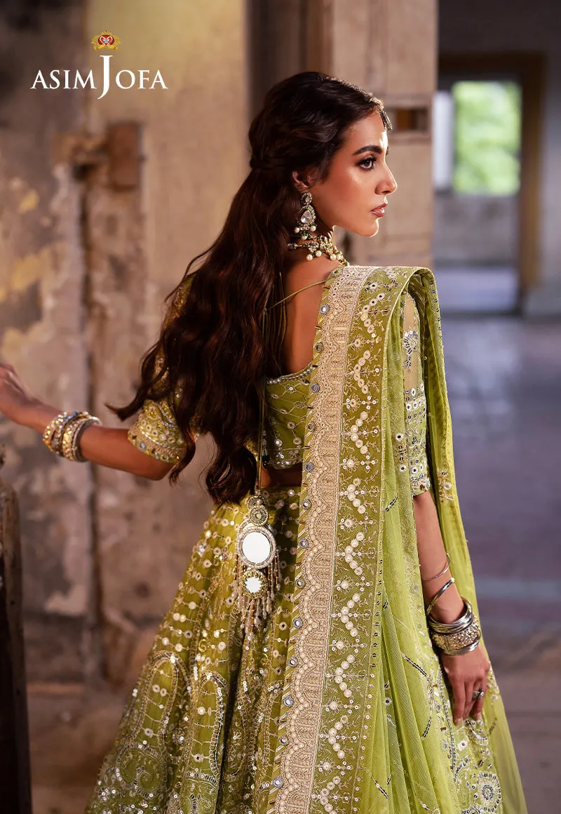ASIM JOFA | Asim Jofa Bekhudi Collection '24 ( AJKB-04)