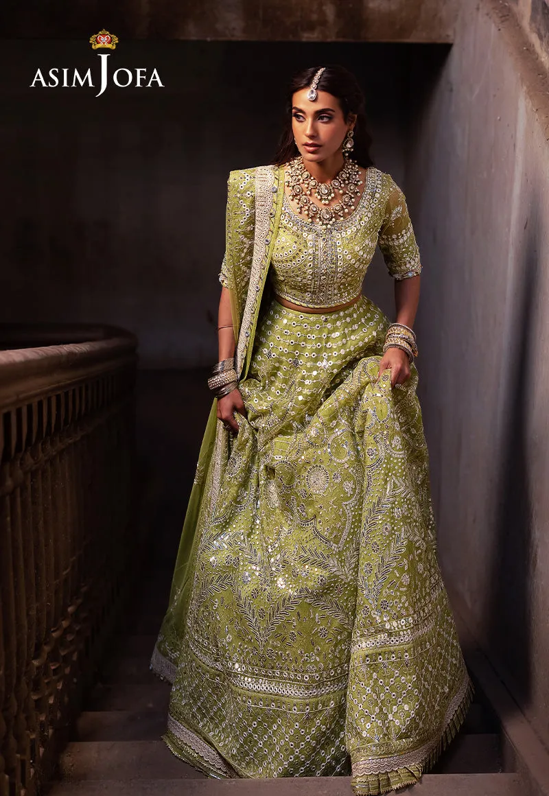 ASIM JOFA | Asim Jofa Bekhudi Collection '24 ( AJKB-04)