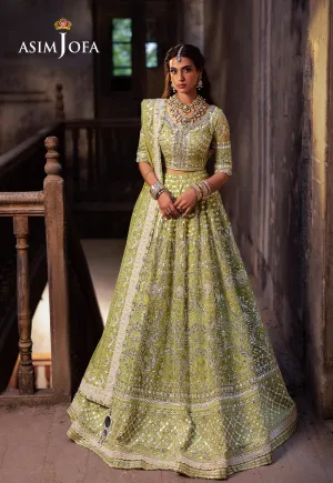ASIM JOFA | Asim Jofa Bekhudi Collection '24 ( AJKB-04)