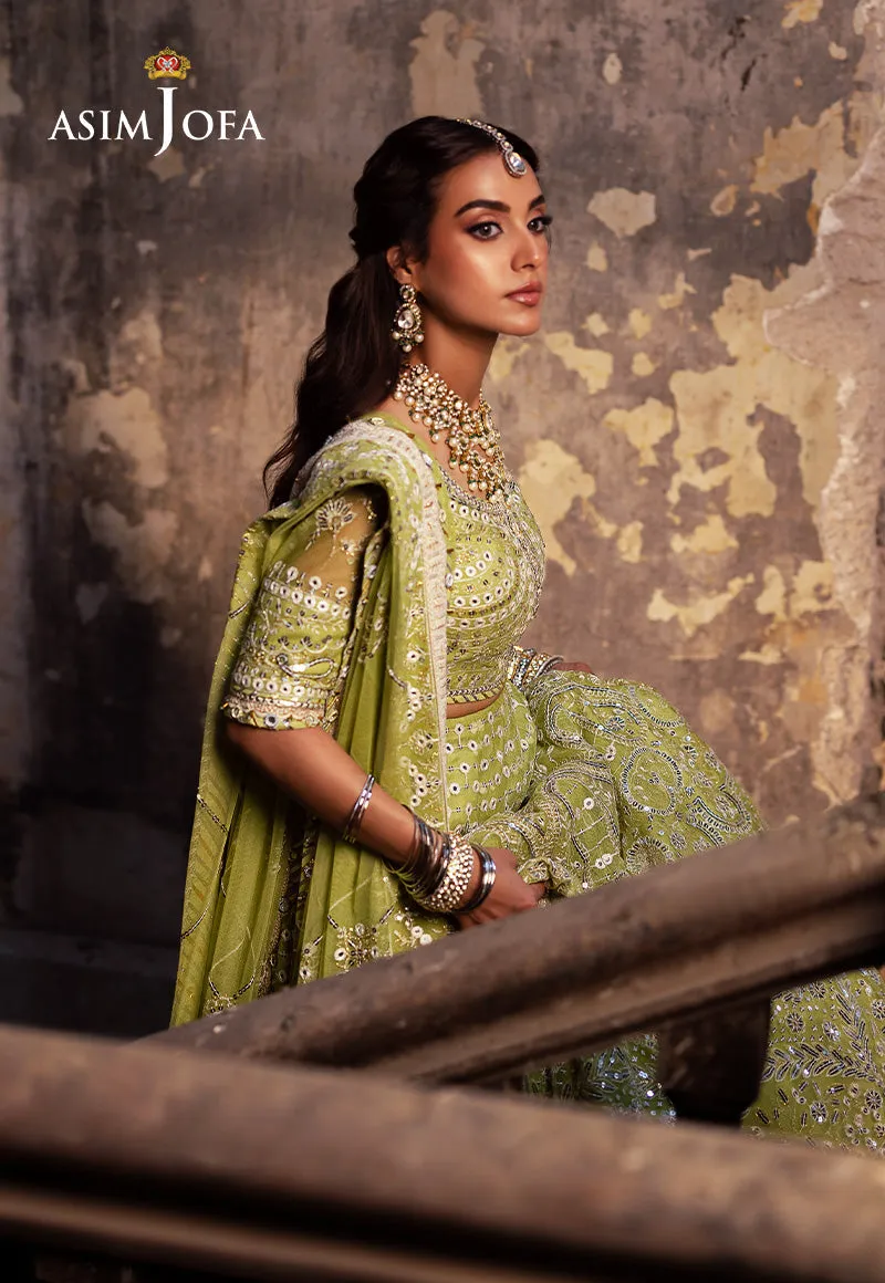 ASIM JOFA | Asim Jofa Bekhudi Collection '24 ( AJKB-04)