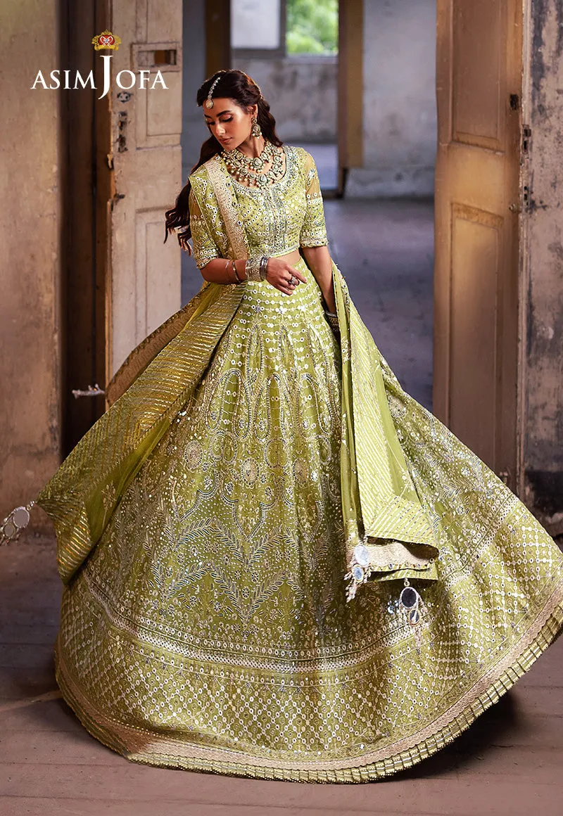 ASIM JOFA | Asim Jofa Bekhudi Collection '24 ( AJKB-04)
