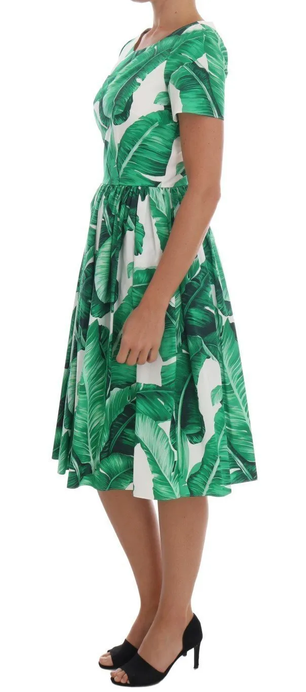 Banana Leaf Cotton A-Line Shift Dress