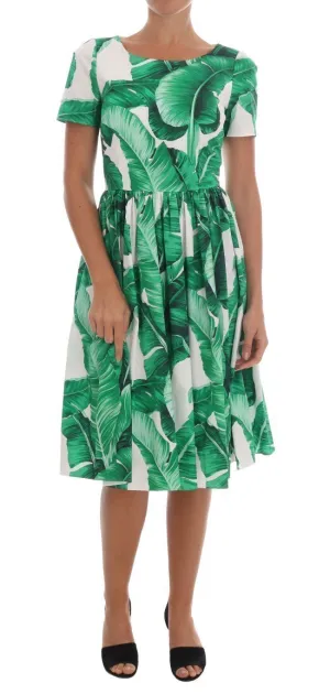 Banana Leaf Cotton A-Line Shift Dress