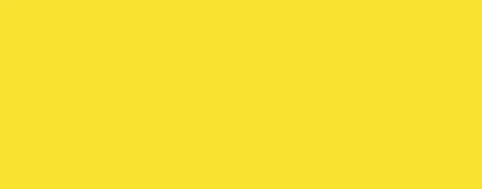 Daffodil TD