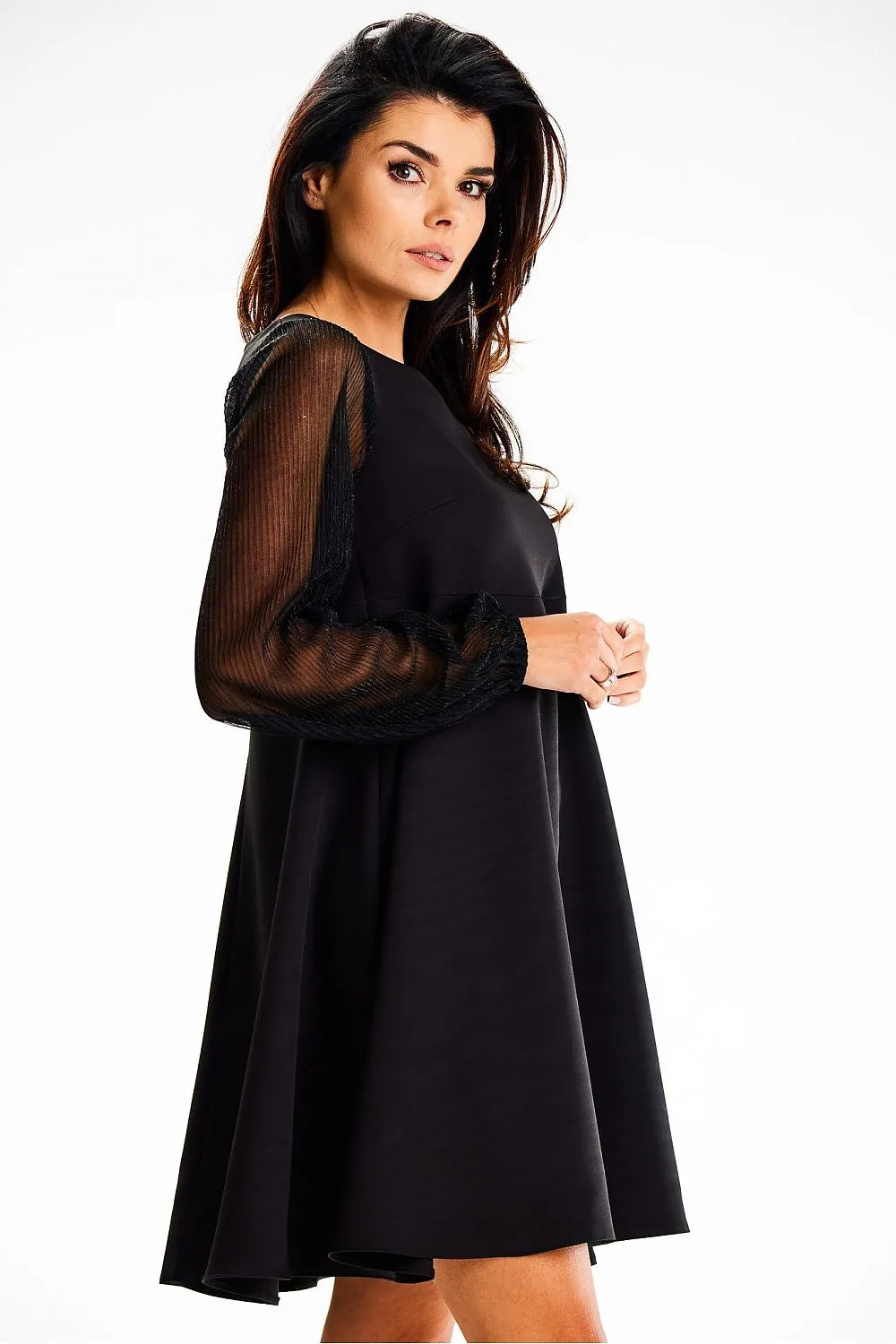 Elegant Sheer Sleeve A-Line Dress