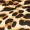 Leopard Print High Neck Bodysuit
