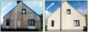 Soft Wash - Professional use Biocide